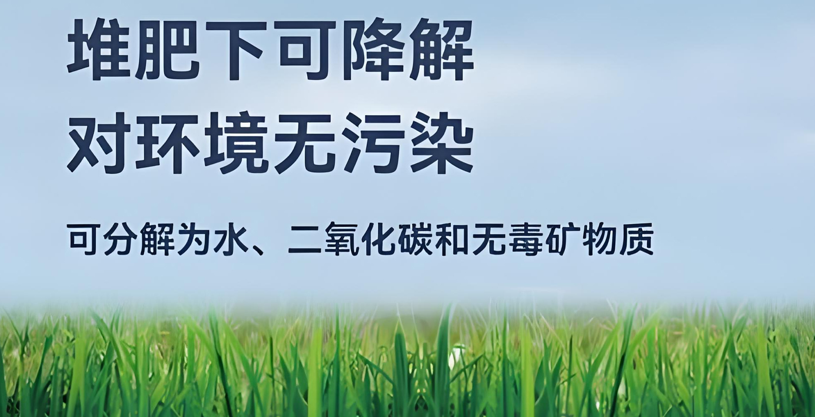 未标题-22.jpg
